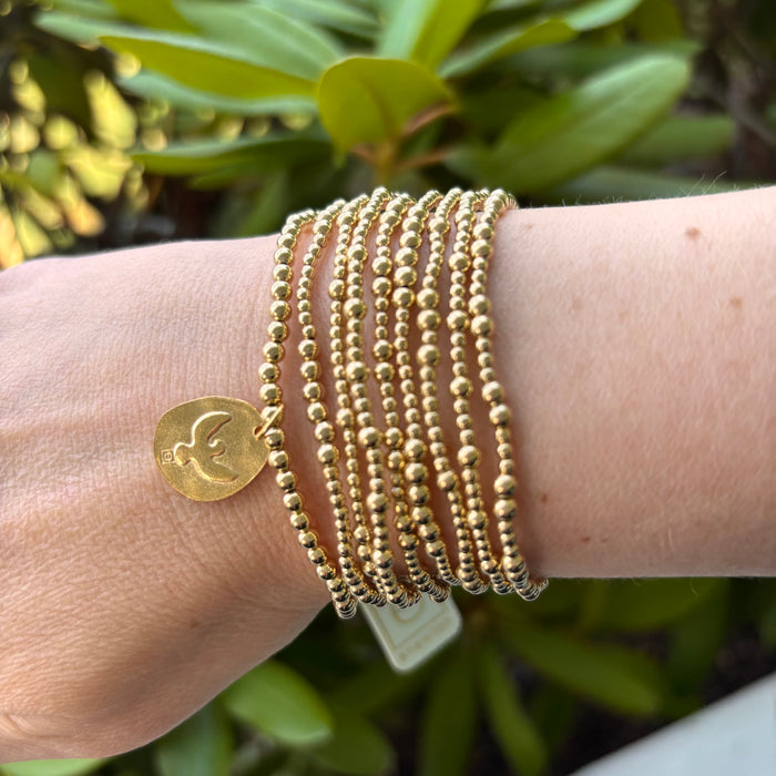 Enewton Together Gold 3mm Bracelet Enewton Together Gold 3mm Bracelet Bracelet