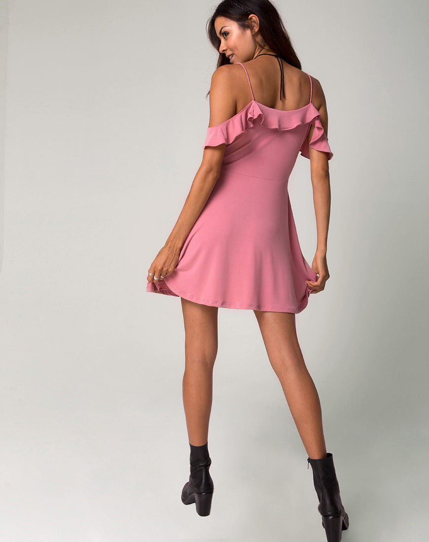 Cannes Skater Dress in Petal