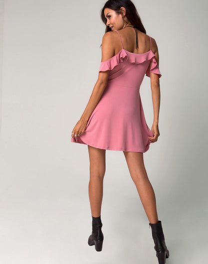 Cannes Skater Dress in Petal