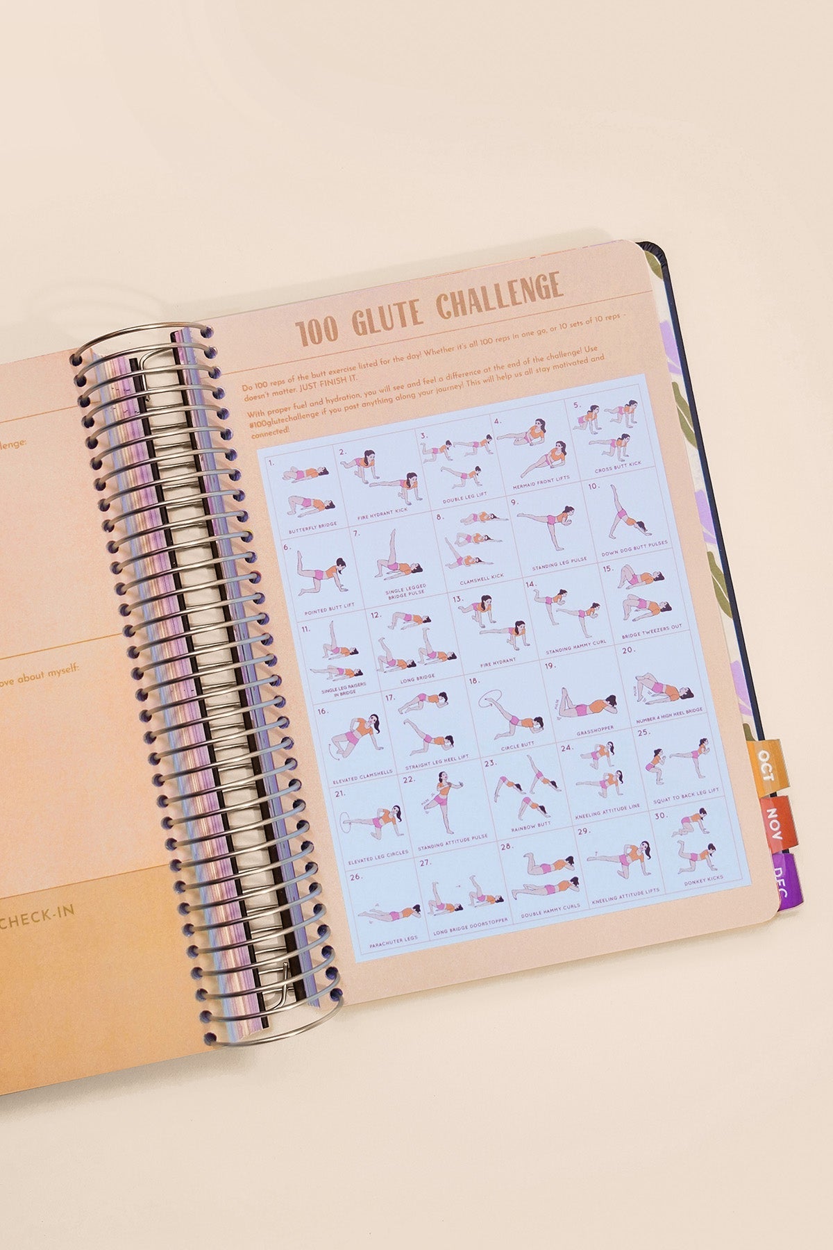 2026 Fit Planner + Stickers - Multicolor Floral