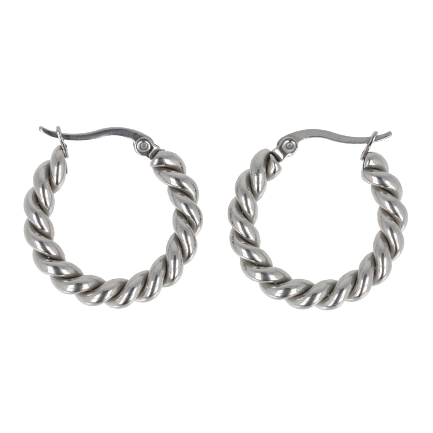Twist and Shout Hoop Earrings