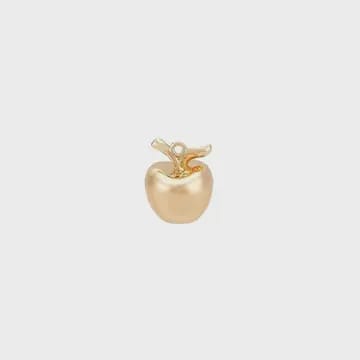 Apple Charm Apple Charm Charms