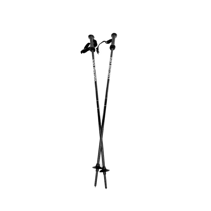 BATONS DE SKI VAN BERGEN JR