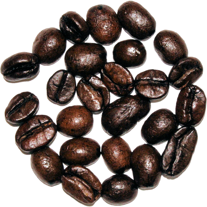 Coconut Cream - The Cultured Cup®
