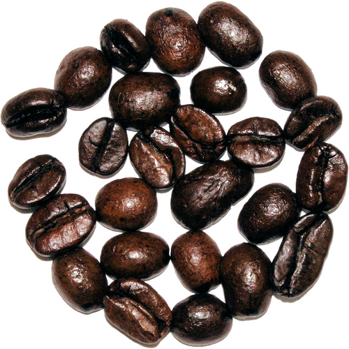 Coconut Cream - The Cultured Cup®