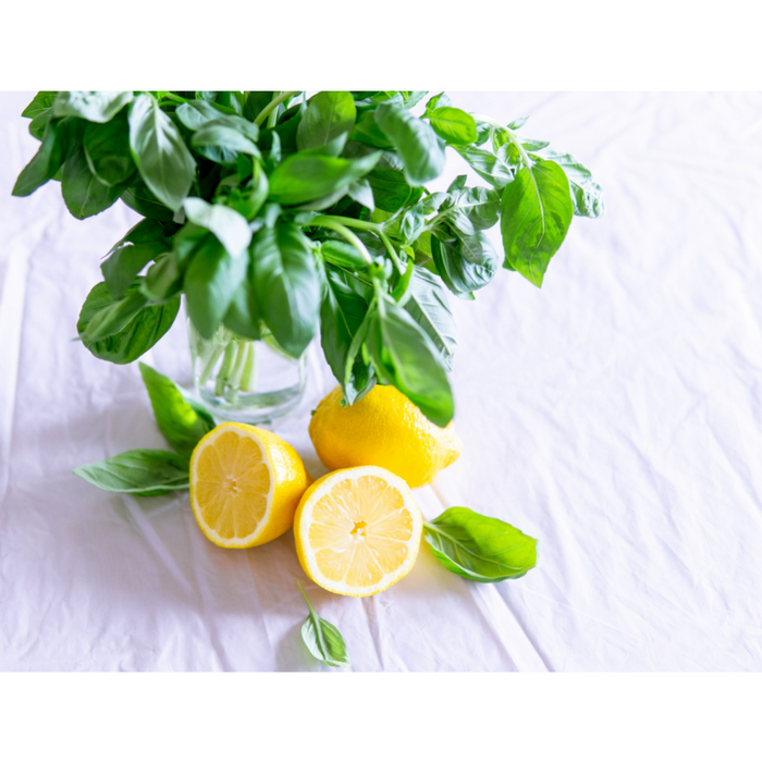 Lemon Basil