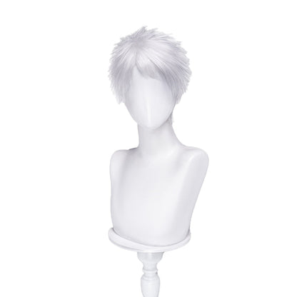 【Ready For Ship】DokiDoki Anime Cosmic Princess Kaguya! Cosplay Komazawa Rai Wig Short Silver Hair