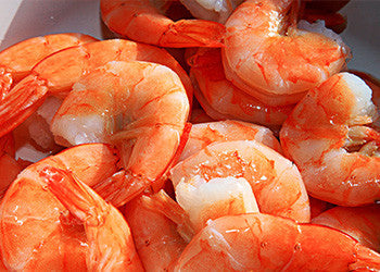 Shrimp Collossal