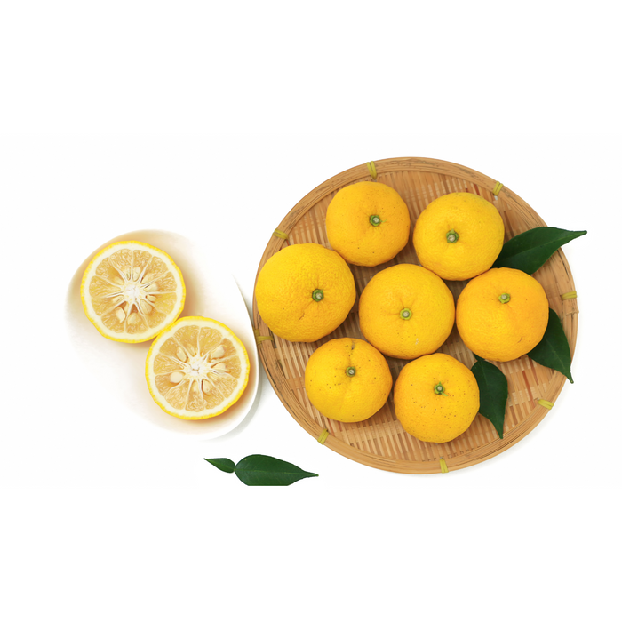 Yuzu Bouquet Teabags